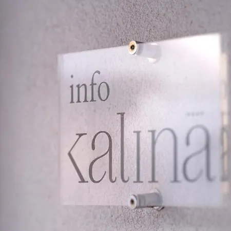 Kalina Deluxe 아파트